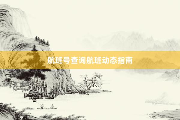 航班号查询航班动态指南